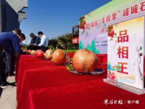 “线上+线下”石榴销售忙，焕发石榴之乡新活力-爱山亭网
