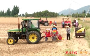 峨山镇夏玉米播种有序推进-爱山亭网