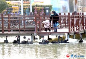 乐享初日时光-爱山亭网