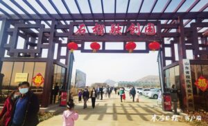 【新春走基层】“农创”新融合让乡村变身网红打卡地-爱山亭网