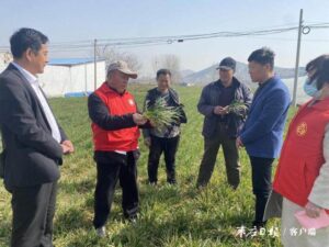 护航农业生产安全 志愿者在行动-爱山亭网