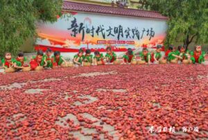 阴平镇斜屋村拟认定为第二批全国乡村治理示范村-爱山亭网