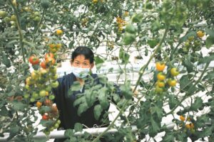 果实累累 丰收在望-爱山亭网