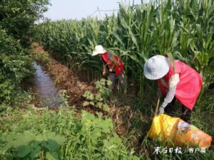 ​回收农业垃圾 共建绿色家园-爱山亭网