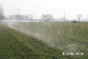 滴漏灌溉 节水保苗-爱山亭网