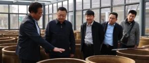 省农业农村厅领导来我区调研-爱山亭网