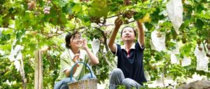 全市4个村入选第六批中国传统村落，都在山亭！-爱山亭网