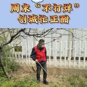 【创城进行时】山泰集团：周末“不打烊  ”   创城忙正酣-爱山亭网