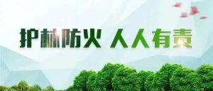 森林防火 十个严禁-爱山亭网