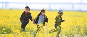 一把鼻涕一把泪！春季过敏怎么办？应对策略→-爱山亭网