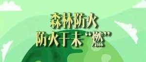 森林防火，重在预防！这些知识请掌握！-爱山亭网