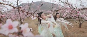 新华社点赞！以花为媒，文旅产业助推乡村振兴-爱山亭网