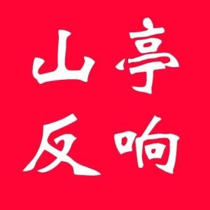 视频 | 全市深化强工兴产实施工业倍增动员大会在山亭引发强烈反响①-爱山亭网