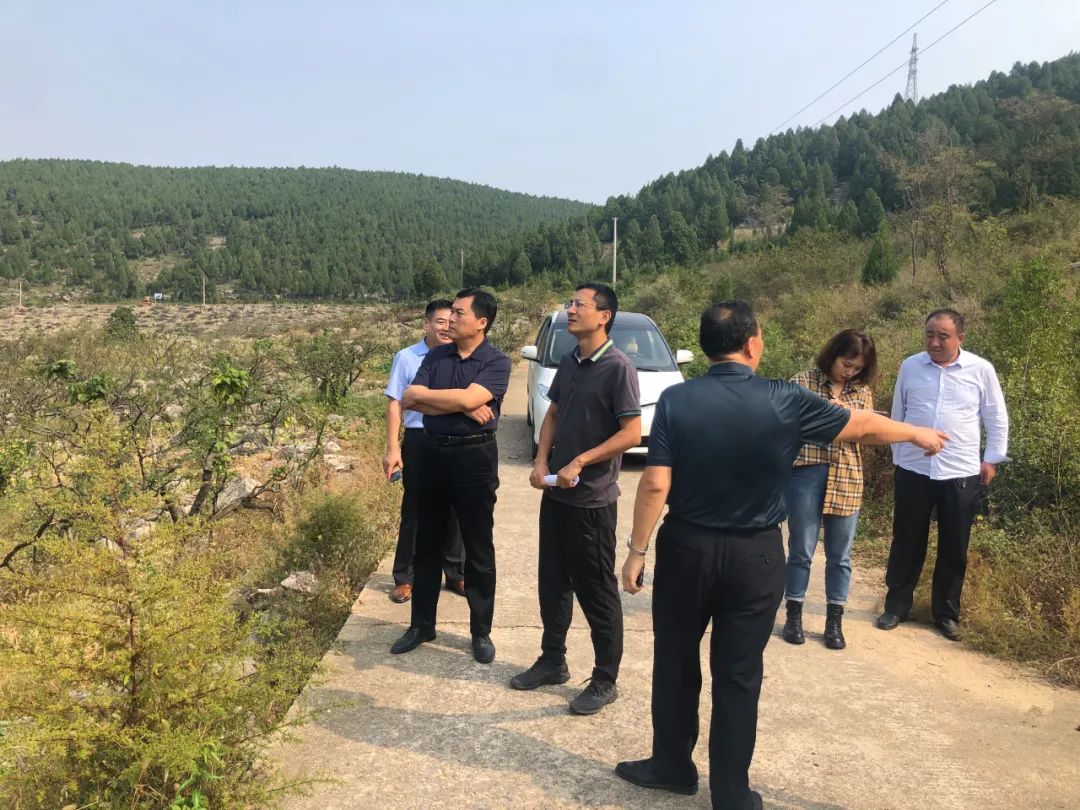 图片[4]-我区举行“强化审计监督 助力高质量发展”新闻发布会-爱山亭网