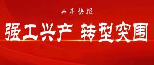 压实责任 夯实举措 奋力实施工业倍增计划-爱山亭网