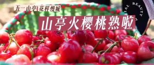 【五一山亭·花样慢城】山亭火樱桃熟啦！-爱山亭网
