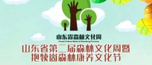 弘扬森林文化 推动绿色发展！山东省第二届森林文化周暨抱犊崮森林康养文化节将于5月19日开幕！-爱山亭网