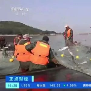 央视《正点财经》《第一时间》纷纷聚焦！岩马湖夏捕开网-爱山亭网