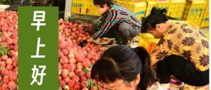 每日晨语 问候山亭（2023年6月12日）-爱山亭网