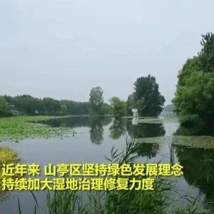 视觉山亭 | 月亮湾湿地公园绿意盎然，风景宜人-爱山亭网