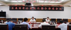 区属国有企业优化整合推进会议召开-爱山亭网