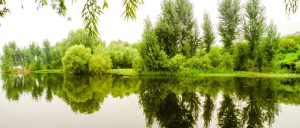 每日晨语  问候山亭（2023年8月13日）-爱山亭网