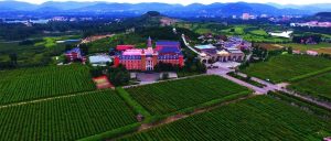 每日晨语  问候山亭（2023年8月15日）-爱山亭网