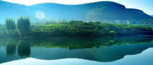 每日晨语  问候山亭（2023年8月19日）-爱山亭网