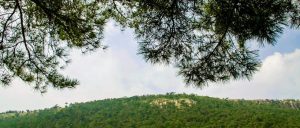 每日晨语  问候山亭（2023年8月27日）-爱山亭网