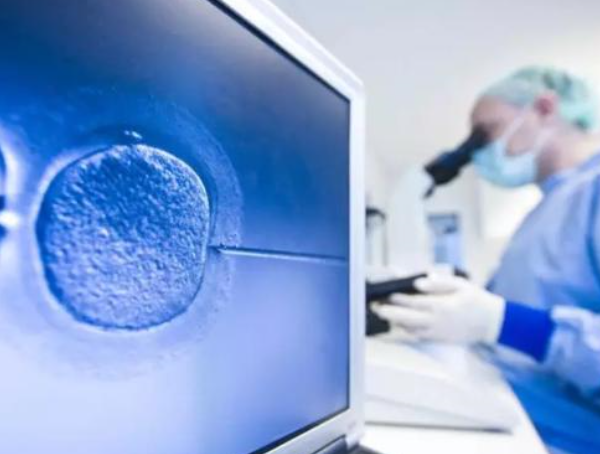 单精子注射、囊胚培育和基因检测