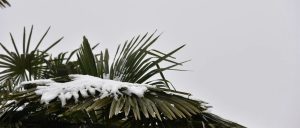 每日晨语  问候山亭（2023年12月18日）-爱山亭网