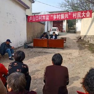 【人大代表风采】张淏：履职尽责担使命，当好群众代言人-爱山亭网