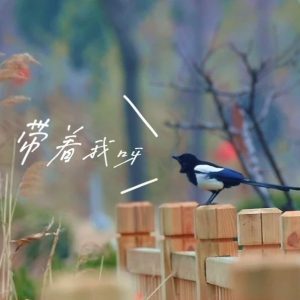 这个春天，鸟儿带你游山亭！-爱山亭网