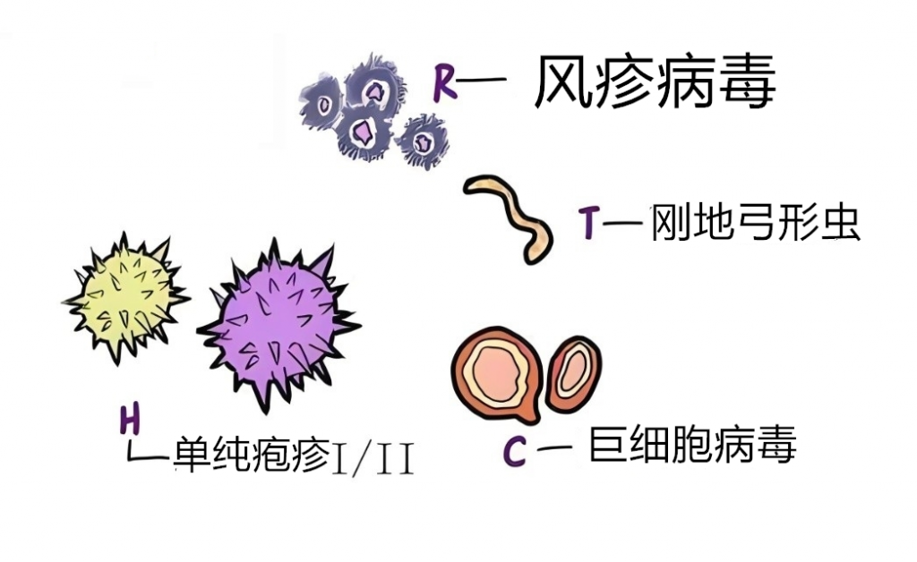 孕期感染病毒